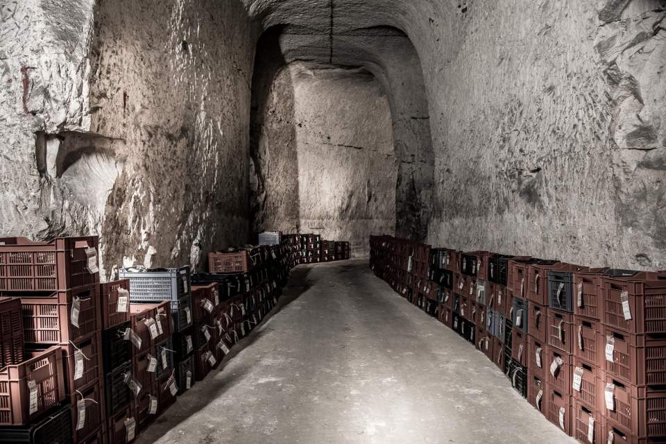 Cellars<br />
 